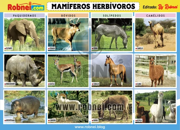 Mamiferos Herviboros